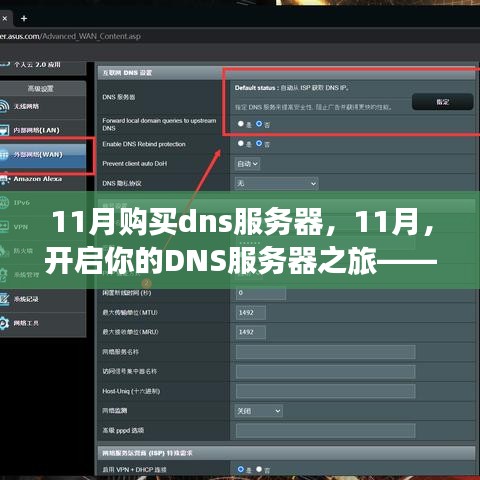 选购DNS服务器指南，开启你的DNS服务器之旅（11月购买推荐）