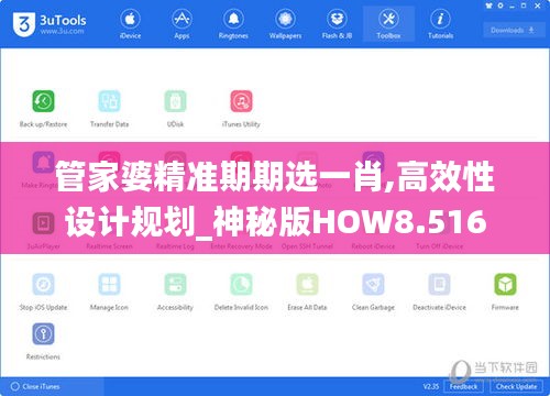 管家婆精准期期选一肖,高效性设计规划_神秘版HOW8.516