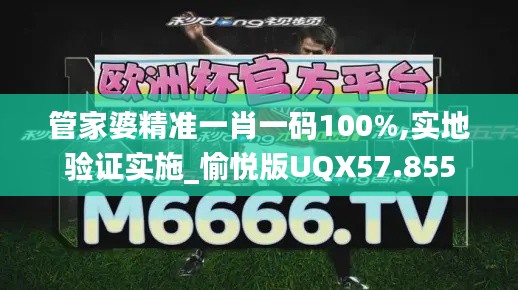 管家婆精准一肖一码100%,实地验证实施_愉悦版UQX57.855