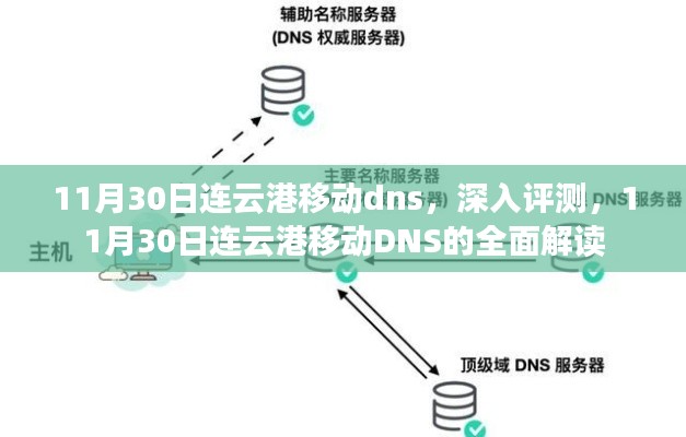 11月30日连云港移动DNS全面解读与深入评测