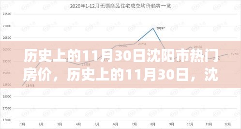 沈阳市房价变迁背后的励志故事，历史上的房价回顾与励志故事（11月30日篇）