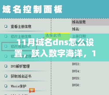 励志指南，跃入数字海洋，掌握域名DNS设置，开启你的学习之旅（11月版）