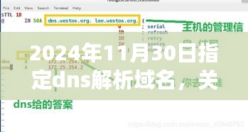 指定DNS解析域名的技术探讨，时间节点下的技术探讨（以2024年11月30日为参考）