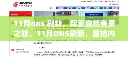 11月DNS刷新，自然之旅唤醒内心宁静与平和