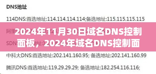 掌握未来网络导航的关键，2024年域名DNS控制面板概览