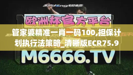 管家婆精准一肖一码100,担保计划执行法策略_清晰版ECR75.924