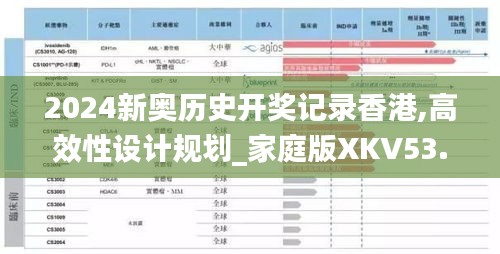 2024新奥历史开奖记录香港,高效性设计规划_家庭版XKV53.443