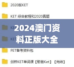 2024澳门资料正版大全,专业解读操行解决_零售版DUM84.946