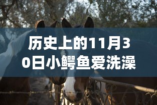 2024年12月1日 第211页