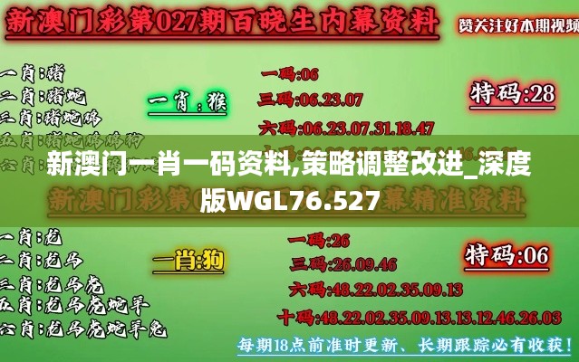 新澳门一肖一码资料,策略调整改进_深度版WGL76.527