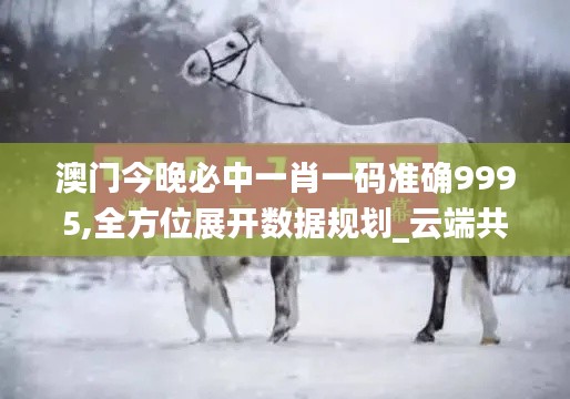 澳门今晚必中一肖一码准确9995,全方位展开数据规划_云端共享版TPT49.322