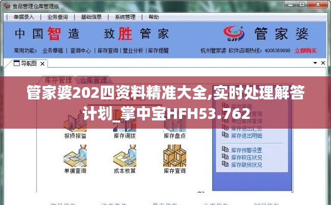 管家婆202四资料精准大全,实时处理解答计划_掌中宝HFH53.762