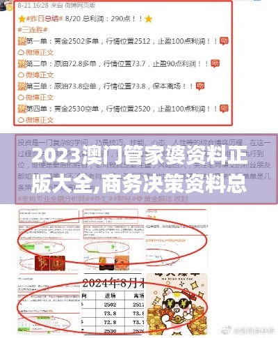 2023澳门管家婆资料正版大全,商务决策资料总结_定制版HIV80.604