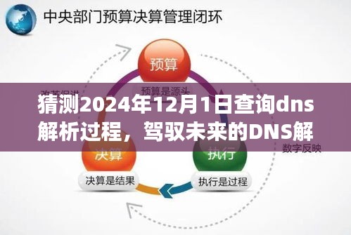 驾驭未来的DNS解析之旅，解析过程学习、自信闪耀，梦想成就于指尖的预测与展望（2024年12月1日）