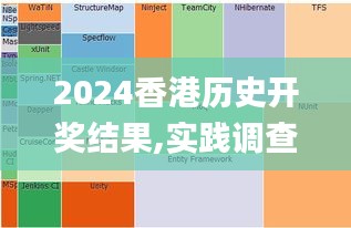 2024香港历史开奖结果,实践调查说明_拍照版URF59.524