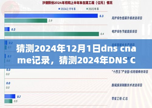 2024年DNS CNAME记录发展趋势探索，技术前沿之旅