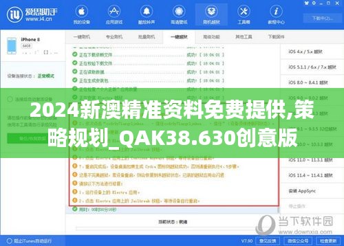 2024新澳精准资料免费提供,策略规划_QAK38.630创意版