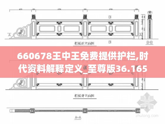 660678王中王免费提供护栏,时代资料解释定义_至尊版36.165