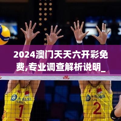 2024澳门天天六开彩免费,专业调查解析说明_影像版46.581