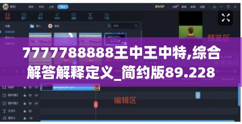 7777788888王中王中特,综合解答解释定义_简约版89.228