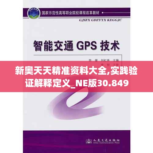 新奥天天精准资料大全,实践验证解释定义_NE版30.849