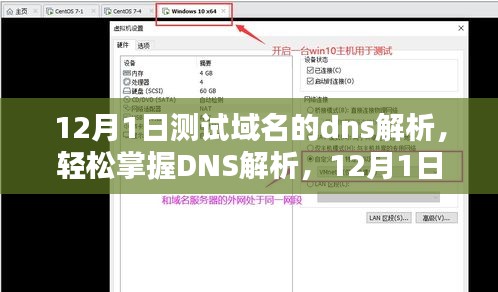 12月1日域名DNS解析详解，从入门到精通的步骤指南