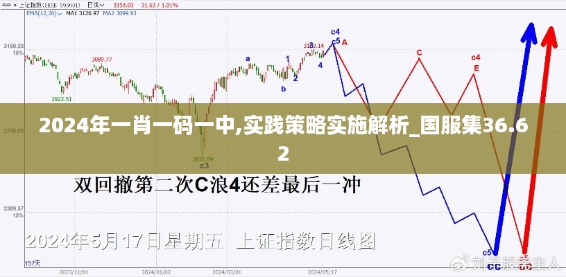 2024年一肖一码一中,实践策略实施解析_国服集36.62