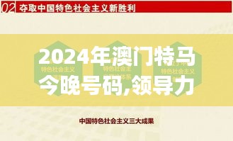 2024年澳门特马今晚号码,领导力解析落实_交互款84.415