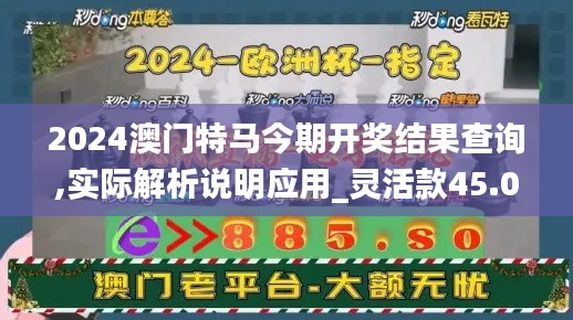 2024澳门特马今期开奖结果查询,实际解析说明应用_灵活款45.065