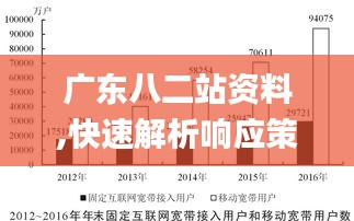 广东八二站资料,快速解析响应策略_V21.335