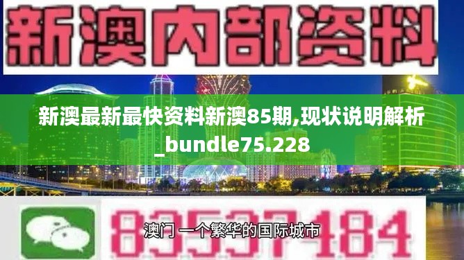 新澳最新最快资料新澳85期,现状说明解析_bundle75.228