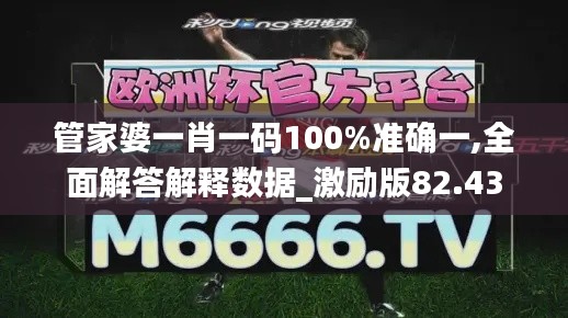 管家婆一肖一码100%准确一,全面解答解释数据_激励版82.43