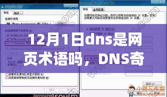 DNS奇遇记，友情、网络与温馨的日常故事