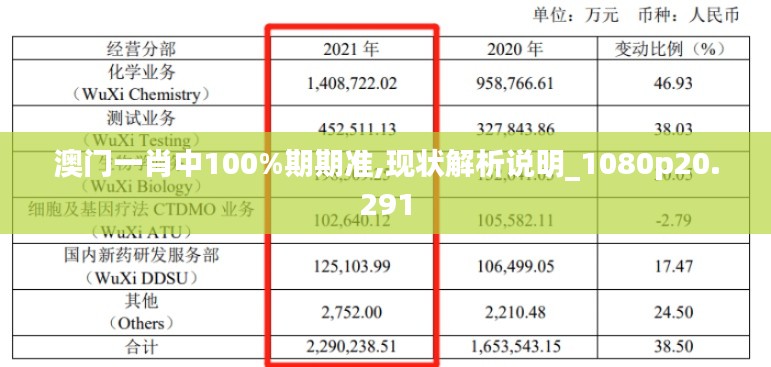 澳门一肖中100%期期准,现状解析说明_1080p20.291