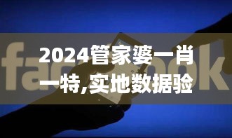 2024管家婆一肖一特,实地数据验证执行_Tablet35.229