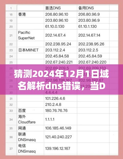 DNS错误与温馨日常的奇妙碰撞，2024年12月1日的网络冒险之旅