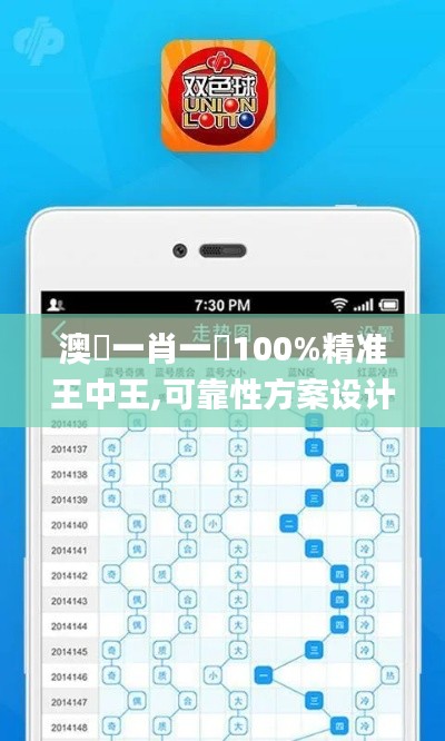 澳門一肖一碼100%精准王中王,可靠性方案设计_界面版94.238