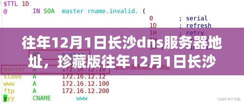 长沙DNS服务器地址大全，往年12月1日珍藏版，网络秘籍一网打尽！