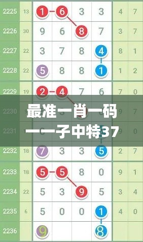 最准一肖一码一一子中特37b,实地解读说明_特别款60.858