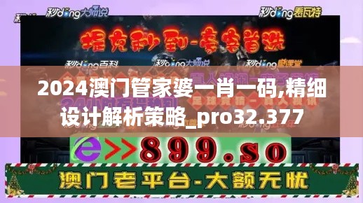 2024澳门管家婆一肖一码,精细设计解析策略_pro32.377