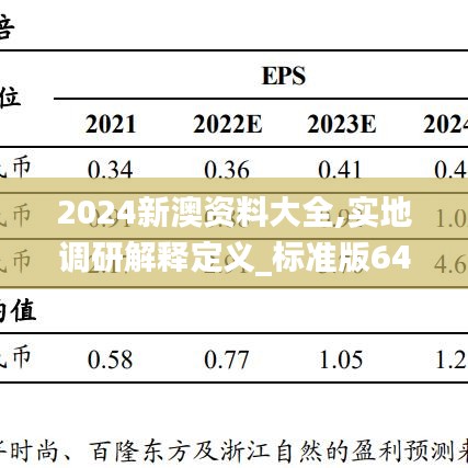 2024新澳资料大全,实地调研解释定义_标准版64.761