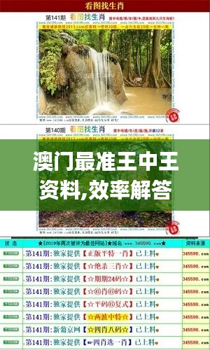 澳门最准王中王资料,效率解答解释落实_PT71.580