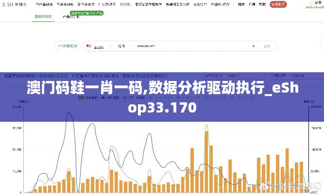 澳门码鞋一肖一码,数据分析驱动执行_eShop33.170