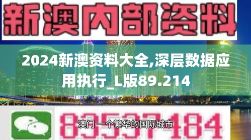 2024新澳资料大全,深层数据应用执行_L版89.214