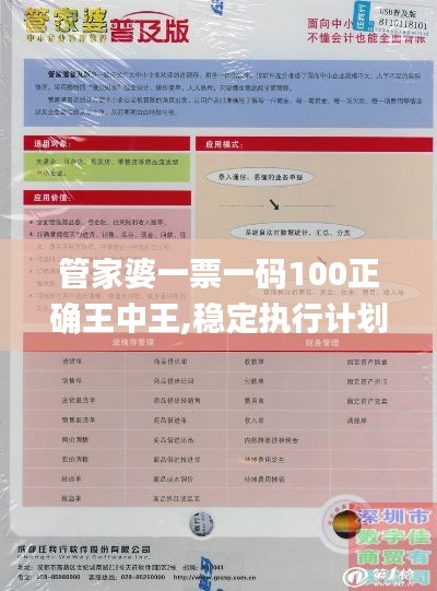 管家婆一票一码100正确王中王,稳定执行计划_X版40.352