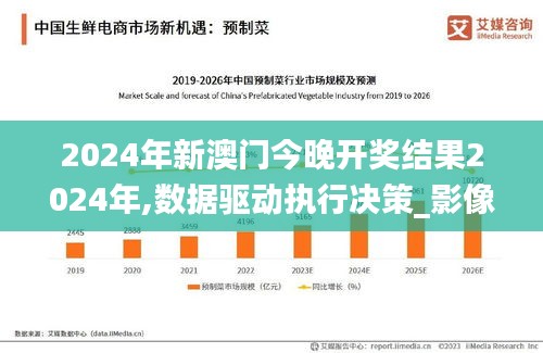 2024年新澳门今晚开奖结果2024年,数据驱动执行决策_影像款82.094