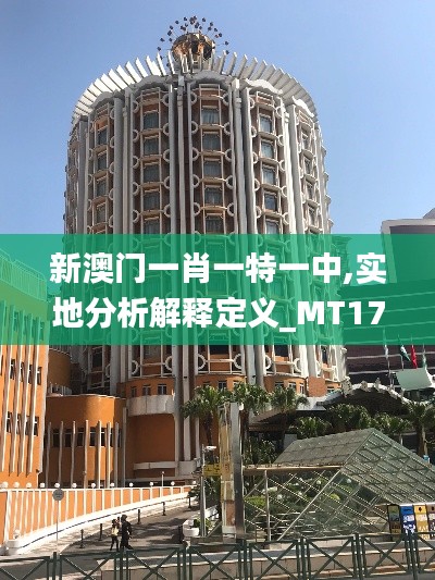 新澳门一肖一特一中,实地分析解释定义_MT17.871