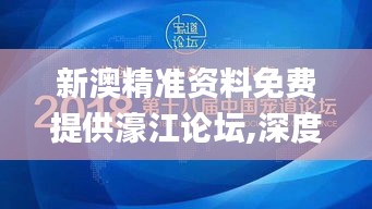 新澳精准资料免费提供濠江论坛,深度解答解释定义_精英版88.285