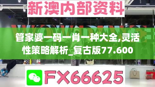 管家婆一码一肖一种大全,灵活性策略解析_复古版77.600