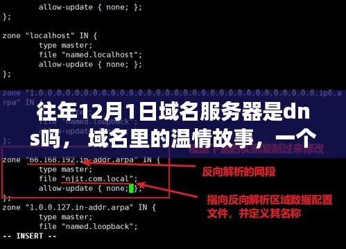 DNS与友情的温馨故事，历年12月1日的域名温情回顾